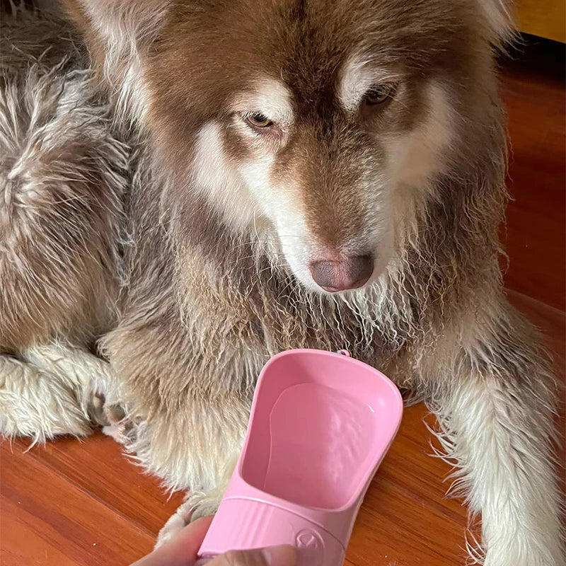 Perro bebiendo agua del dispensador rosa de la botella portátil